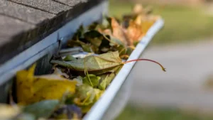 leaves clogging a gutter