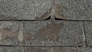 an asphalt shingle that is curling