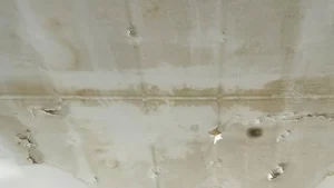 ceiling water damage from leaking roof