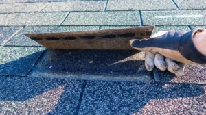 roofer inspecting an old single